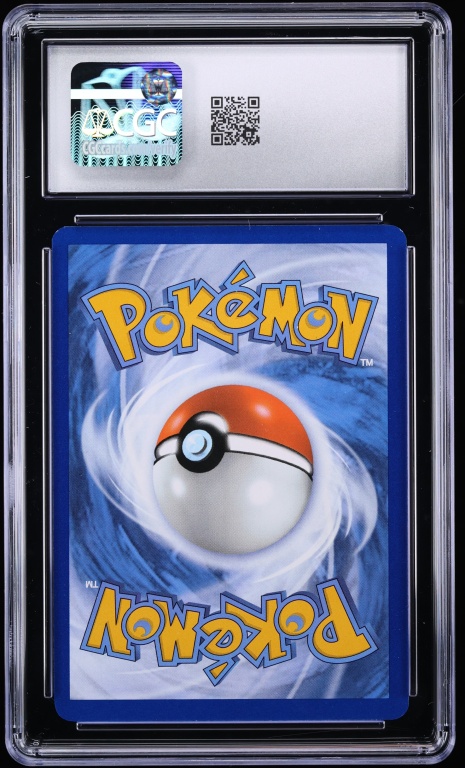 Back